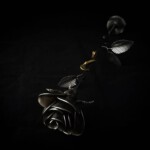 Skulptur Rose - Ansicht liegend